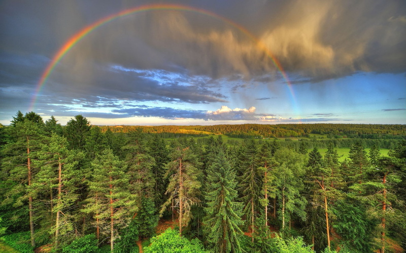 beautiful nature  for desktop 1920x1200, 1080P
