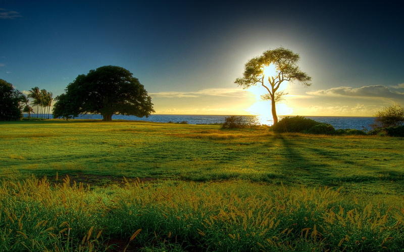 1080P, beautiful nature hd  for desktop  download 1920x1200