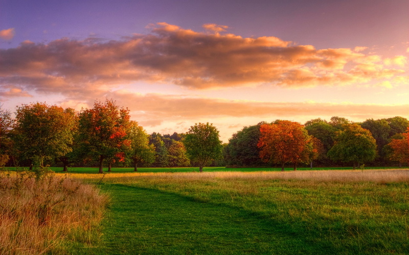 orange color, cloud - sky, scenics - nature, no people, beautiful nature  desktop  1920x1200, tranquil scene, autumn, growth, environment, outdoors, beauty in nature