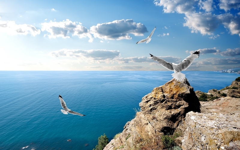 beautiful nature  desktop  1920x1200, 1080P