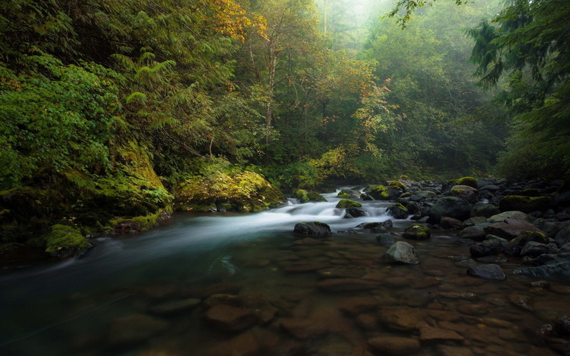 beautiful nature  desktop  1920x1200, 1080P