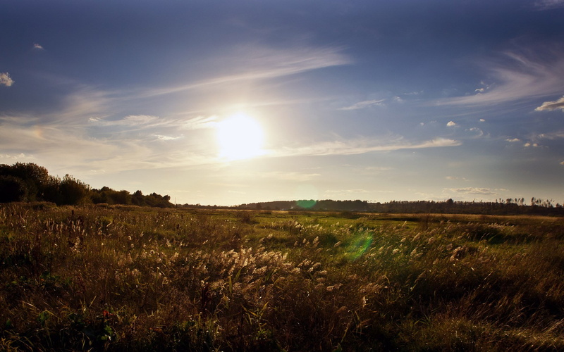 1080P, bright, tranquil scene, grass, beautiful nature scenes images 1920x1200, beauty in nature, tranquility, scenics - nature, idyllic, cloud - sky