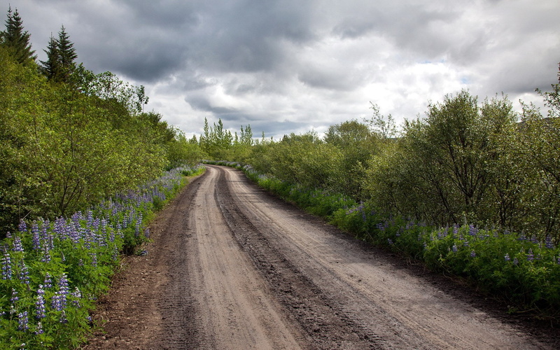 nature, dirt, no people, landscape, environment, dirt road, scenics - nature, 1080P, sky, tree, plant, beauty in nature, cloud - sky, transportation, diminishing perspective