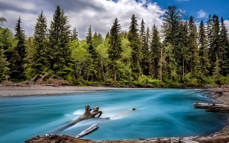 tranquility, scenics - nature, real people, tranquil scene, turquoise colored, land, lake, forest, outdoors, non-urban scene, plant, nature, cloud - sky