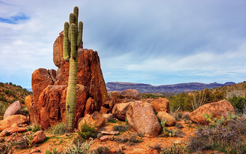 beautiful nature scenes images 1920x1200, 1080P