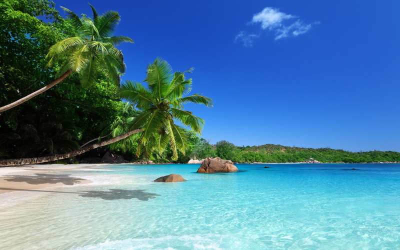 tranquil scene, lagoon, day, tropical climate, blue, sea, beautiful scenes of nature hd images 1920x1200, island, coconut palm tree, tree, idyllic, land