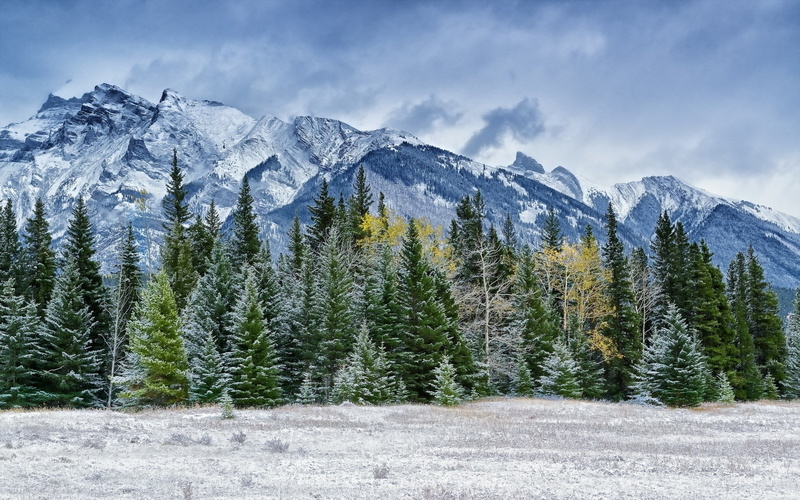 photo nature beauty images 1920x1200, 1080P