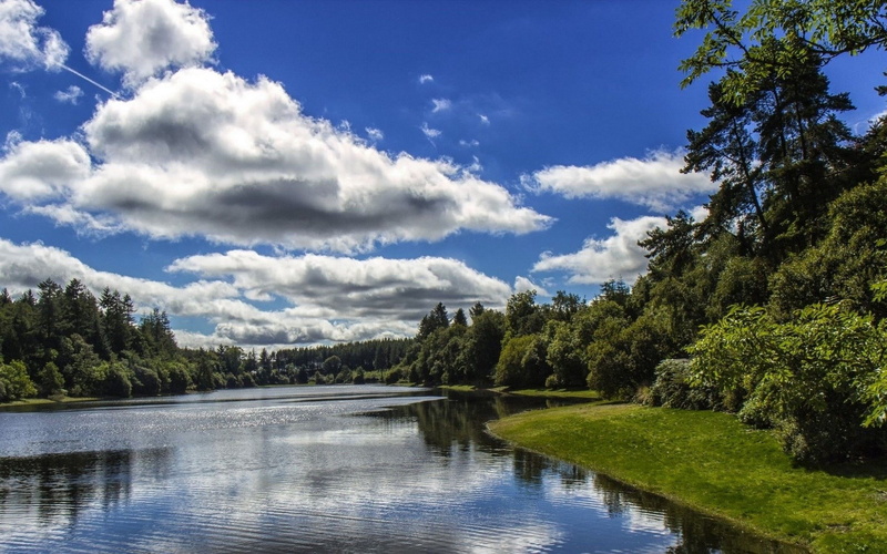 non-urban scene, tranquility, cloud - sky, 1080P, nature, reflection, growth, tranquil scene, photo nature beauty image 1920x1200, scenics - nature, lake