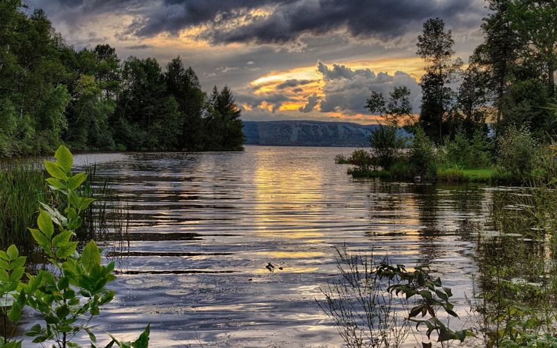1080P, beauty of nature  hd 1920x1200