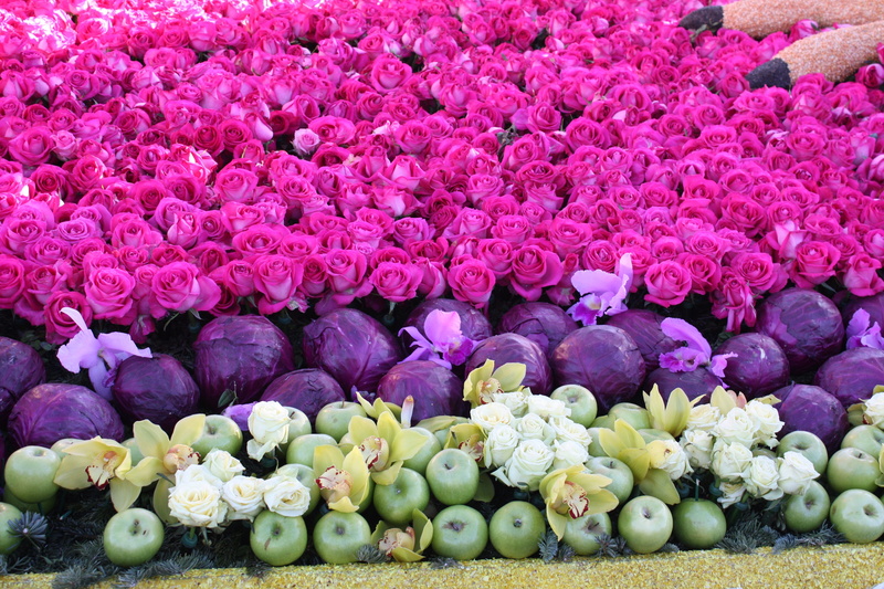 day, large group of objects, vulnerability, nature, outdoors, pink color, 4K, flower arrangement, bunch of flowers, choice, flower head, freshness, close-up
