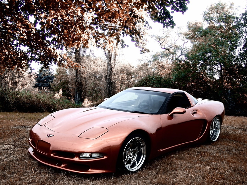 hd, 720P, chevrolet, art, body, wide, corvette, c, 2011, C5, cars, Wittera