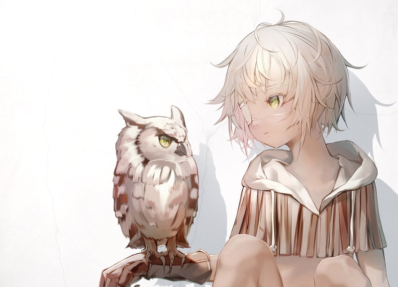 Glove, Short Hair, Blonde, Owl, Eye Patch, Anime, Yellow Eyes, 1080P, Hoodie, Original