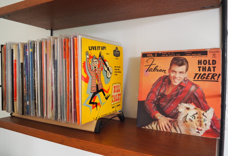 canine, turntable, 4K, women, pets, one animal, emotion, lp, happiness, bookshelf, hairstyle, analog, smiling, music playback, mammal, analog reproduction
