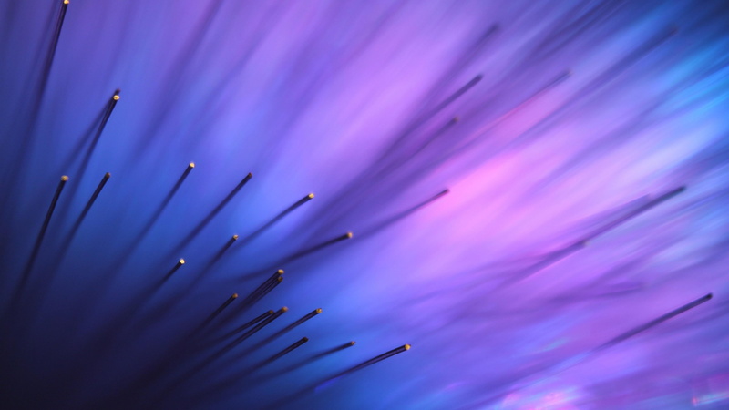 windows phone, escritorio, estilo, flor, motado, abstract, purpura, 4K