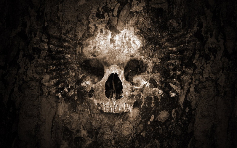 human skull, pattern, teeth, textured, body part, spooky, close-up, dark, minimalism, human body part, horror, night, human bone, full frame, people, human skeleton