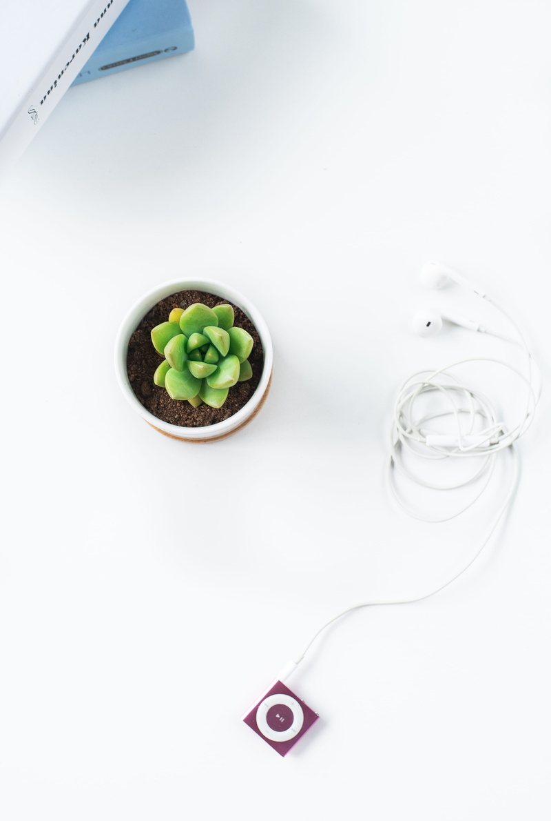 vegetable, shuffle, studio shot, still life, green, creme, earpods, white background, succulent, dieting, glass, healthy eating, plant, food, cream, purple