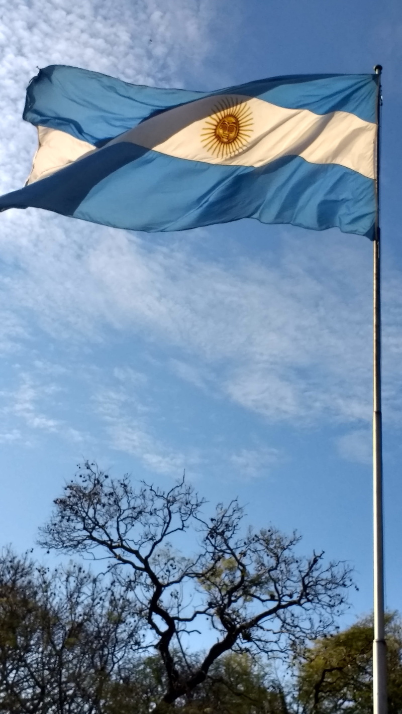 landscape, wind, argentina flag, patriotism, waving, pride, argentine, day, plant, wave, south america, sun, flag, nature, country, independence, low angle view