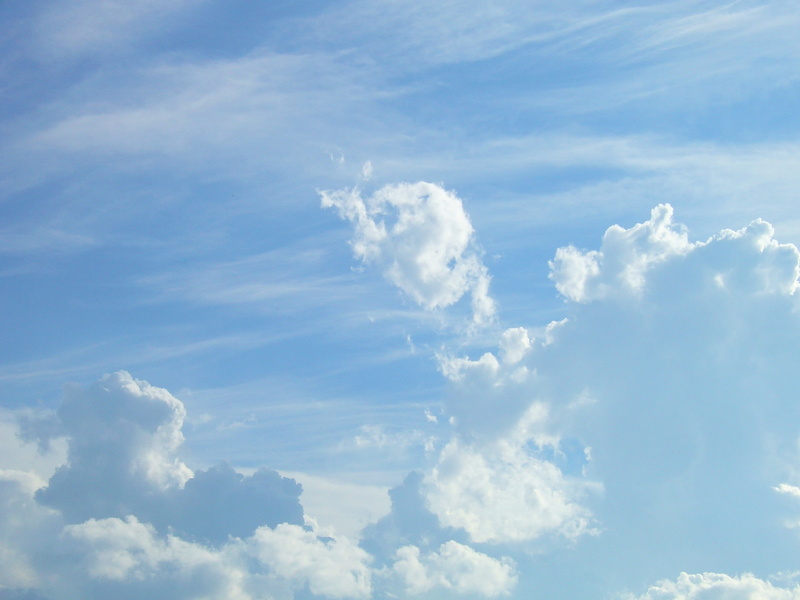 tranquility, cloud, idyllic, no people, clouds, 1080P, celeste, cloudscape, day, sunlight, tranquil scene, fluffy, low angle view, atmosphere, wind, scenics