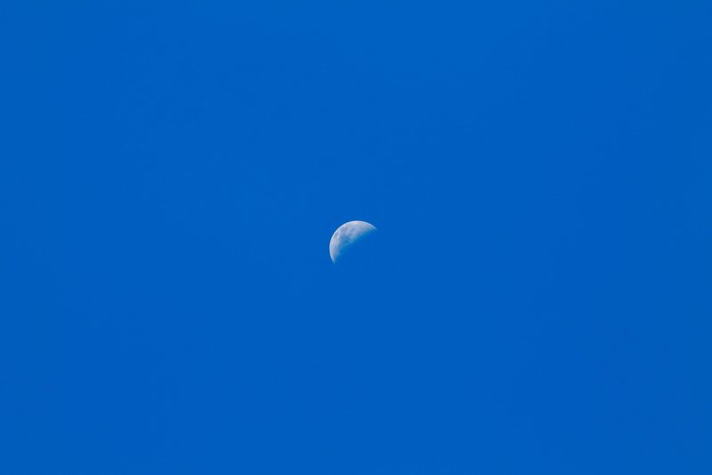 sky, clear sky, space, planetary moon, daytime moon, blue sky, tranquil scene, half moon, space and astronomy, 4K, crescent, blue, beauty in nature, low angle view