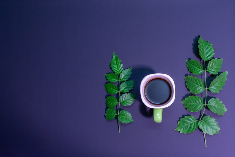 beverage, plant part, foliage, studio shot, blue background, colored background, refreshment, copy space, 5K, flatlay, clean, still life, food and drink