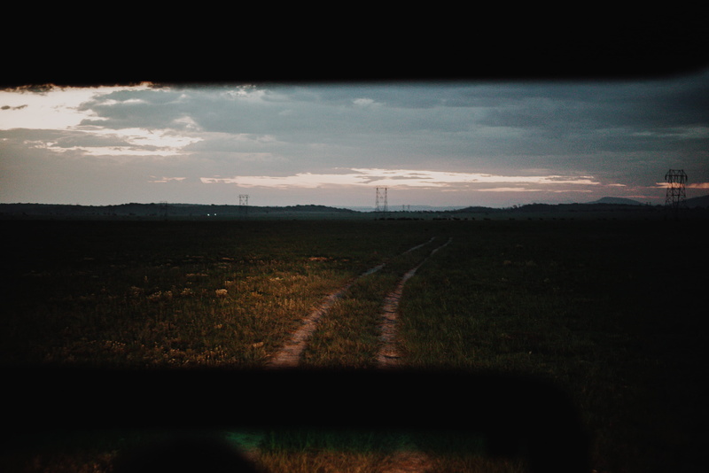landscape, game drive, road, beauty in nature, safari, outdoors, scenics - nature, water, africa, transportation, cloud - sky, environment, sunset, path