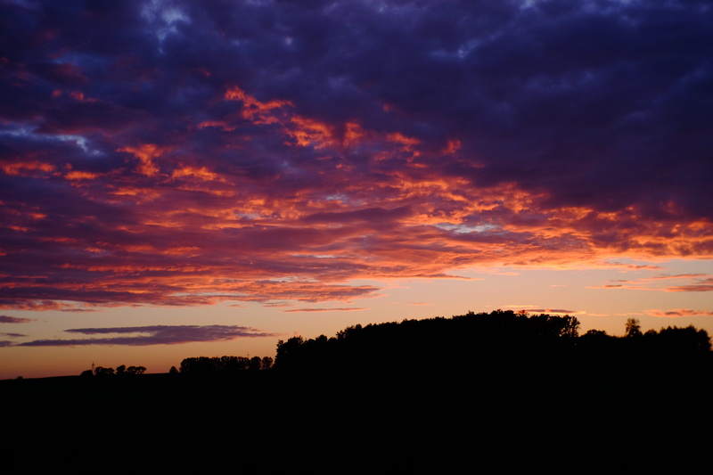 dramatic sky, sundown, shine, purple, scenics - nature, cloud - sky, summer, tranquility, tree, 4K, nature, orange color, landscape, orange, idyllic, environment