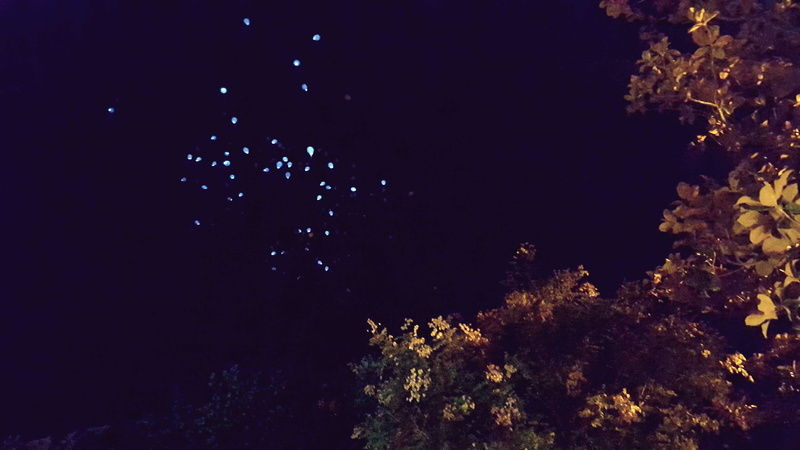 luminosity, tranquility, late night, growth, nature, tranquil scene, space, 2K, low angle view, air baloon, outdoors, night, star - space, scenics - nature
