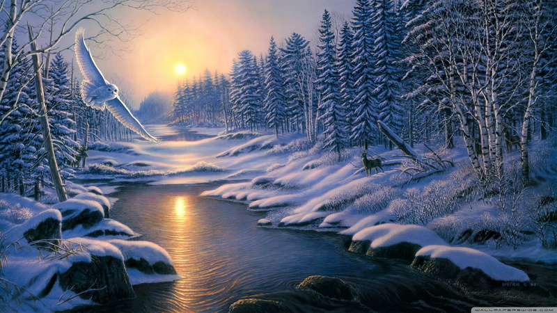 2560x1440, river, Winter, 2K, tree, Forest, Owl, digital art, snow
