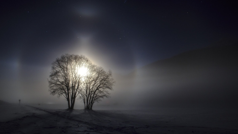 snowing, scenics - nature, mist, starry night, winter, outdoors, no people, path, plant, atmosphere, field, non-urban scene, environment, snow, fog, tree