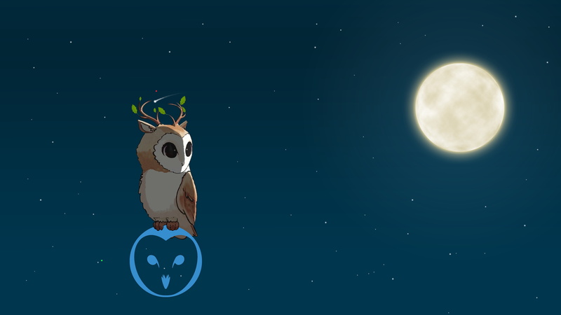 The moon, 5K, Olenevoda barn owl, Night, The barn owl
