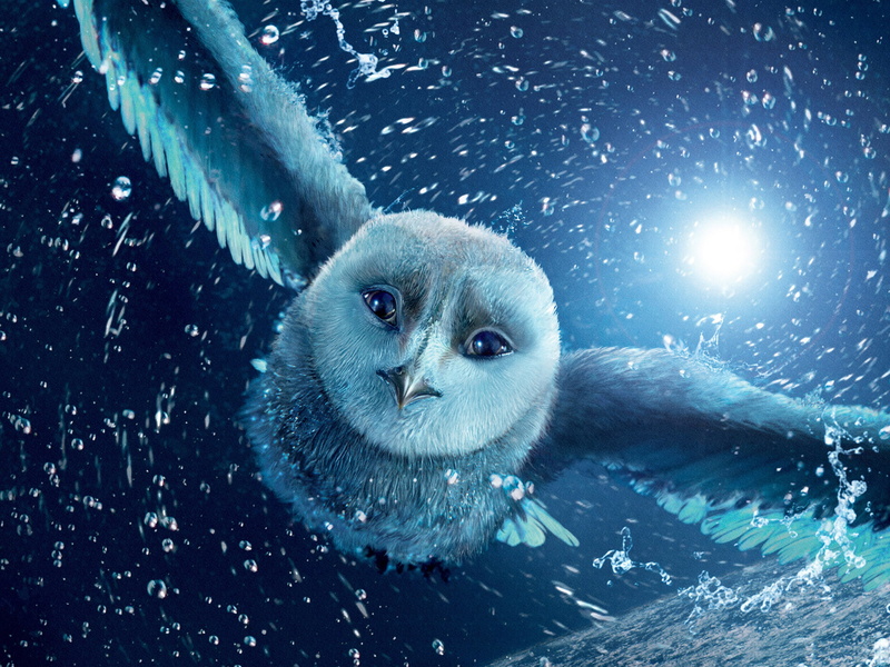 marine, wildlife, blue, night, cartoon, animal wildlife, sea, looking, fur, portrait, snow, motion, nature, vertebrate, sea life, underwater, 2K, fun