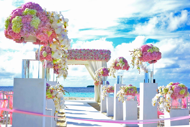 flowering plant, vases, 2K, cloud - sky, built structure, landscape, seashore, wedding setup, plant, flower arrangement, architecture, pink color, flower bouquets