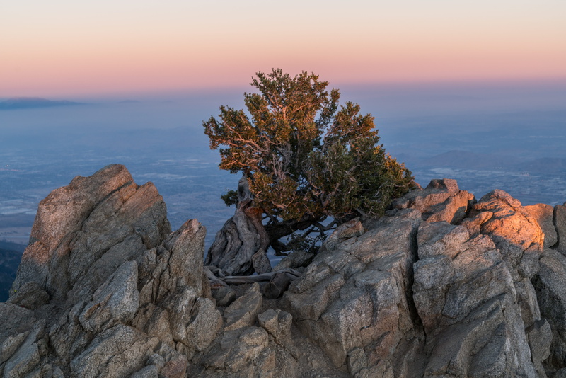 no people, adventure, nature, united states, exploring, solid, eroded, tree, art work, hiking, land, tranquility, adventure time, non-urban scene, wild