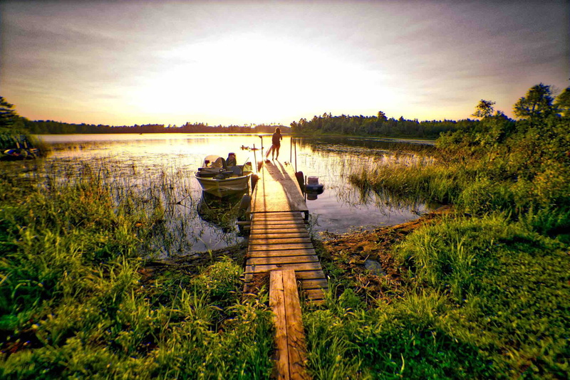 scenics - nature, minnesota, dock, grass, tree, sky, outdoors, non-urban scene, tranquility, nature, wood - material, growth, beauty in nature, day, wood