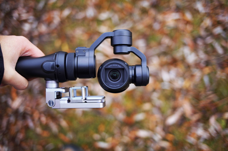 dji, occupation, leisure activity, dji osmo, person, black, activity, real people, focus on foreground, 5K, equipment, leaves, photographer, gimbal, change