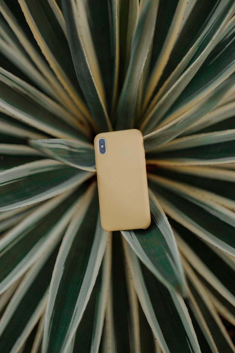 iphone x, business, leaf, outdoors, no People, yellow, label, green Color, sign, nature, tech, technology, iphone, wood - Material, phone case, equipment