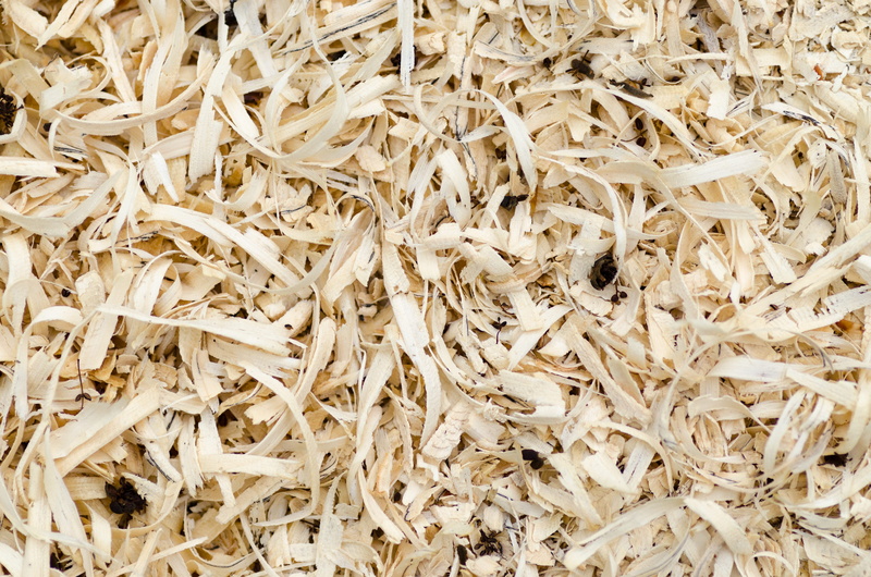 nature, large group of objects, plant, textured, high angle view, full frame, backgrounds, shavings, raw food, day, 5K, close-up, still life, wood - material