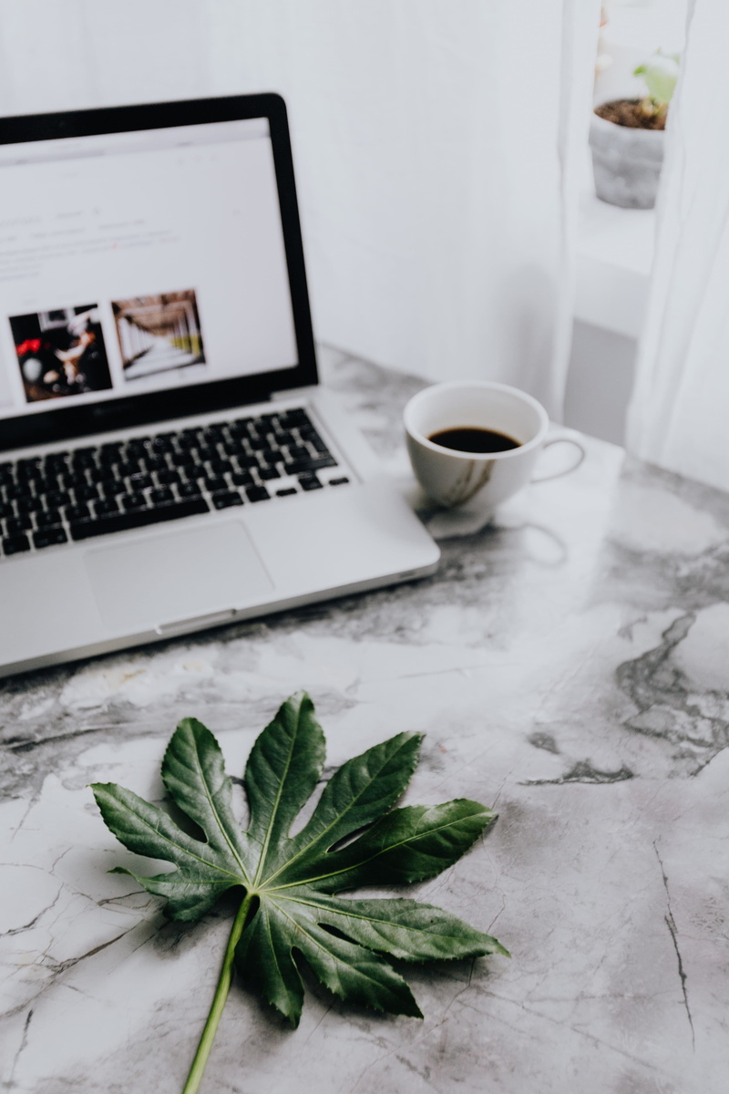 apple, food and drink, laptop, desk, workspace, crockery, no people, technology, coffee, macbook, working, 4K, leaves, connection, computer, mug, refreshment