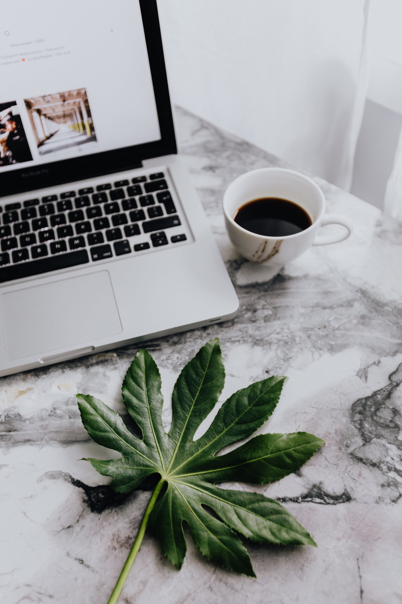 leaf, study, desk, coffee - drink, mug, plant part, table, macbook, marble, workplace, non-alcoholic beverage, crockery, indoors, no people, leaves, drink