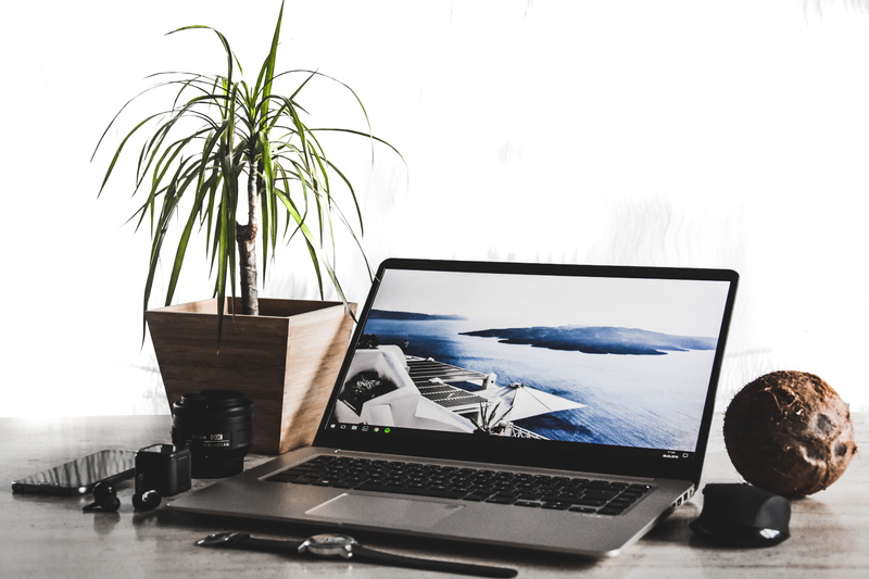 love, turned, flatlay, still life, work, potted plant, watch, summer, connection, communication, time, no people, potted, technology, plant