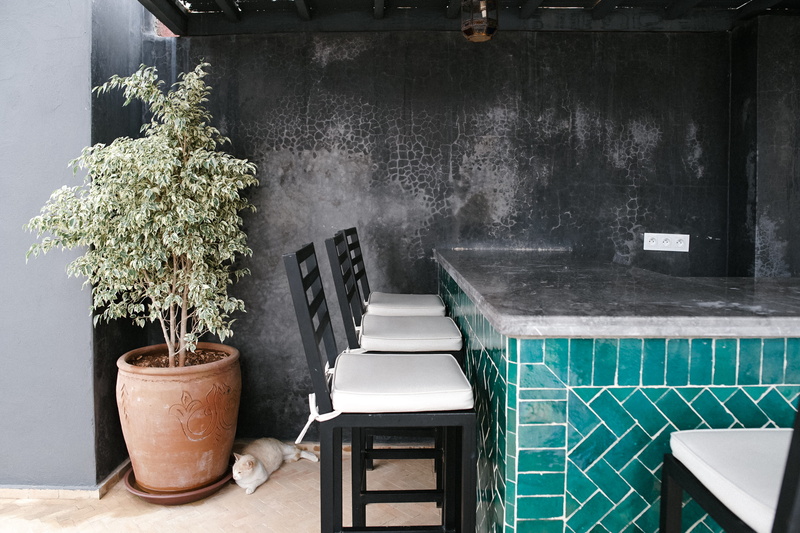 bar, jar, morocco, black, gardening, houseplant, interior design, three, green color, plant, container, wall - building feature, potted plant, design, banister