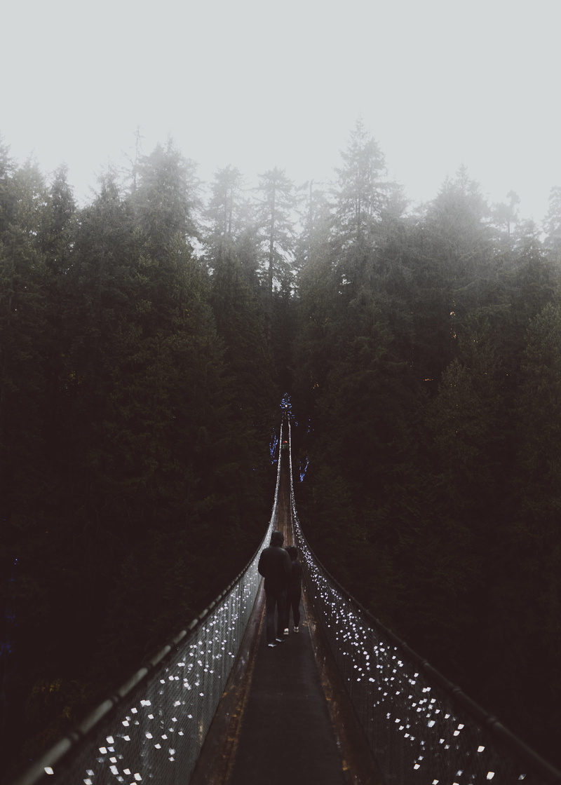 no People, forest, 5K, tourism, hanging, couple, person, famous Place, travel, dark, people, nature, adventure, landscape, together, outdoors, hiking