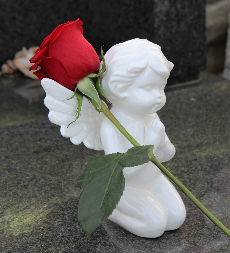 stop bullying in schools, plant stem, white color, beauty in nature, save kids and teens, protect kids and teens, Angel, stop child suicide, depression