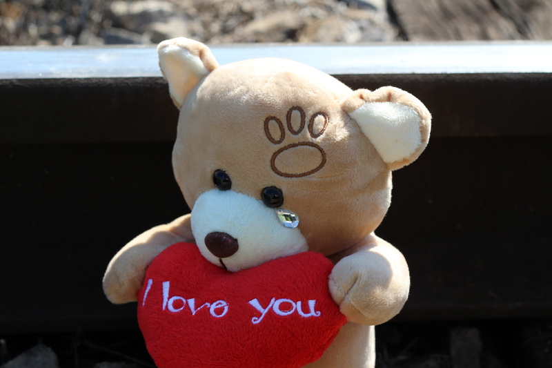 stop child suicide, communication, 5K, save kids and teens, toy, stop student suicide, teddy bear crying, school pressure, stop physical abuse, ruthless education system