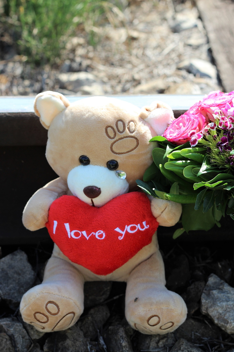 close-up, stop youth suicide, celebration, teddy bear crying, freshness, pressure to be perfect, stop teen abuse, stop kids and teens neglect, bad grades