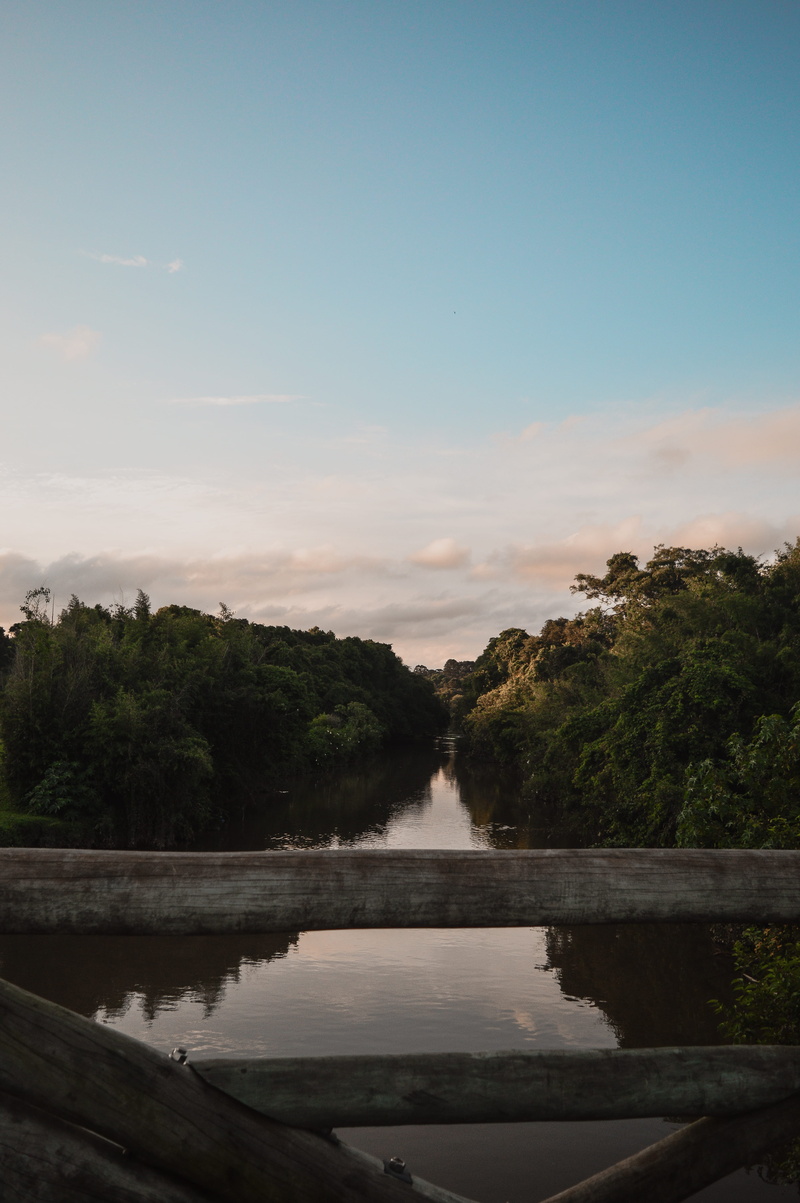 sunset, clouds, trees, bridge, forest, woods, nature photography, cloud - sky, calm waters, hand, non-urban scene, day, sky, beauty in nature, lake, outdoors