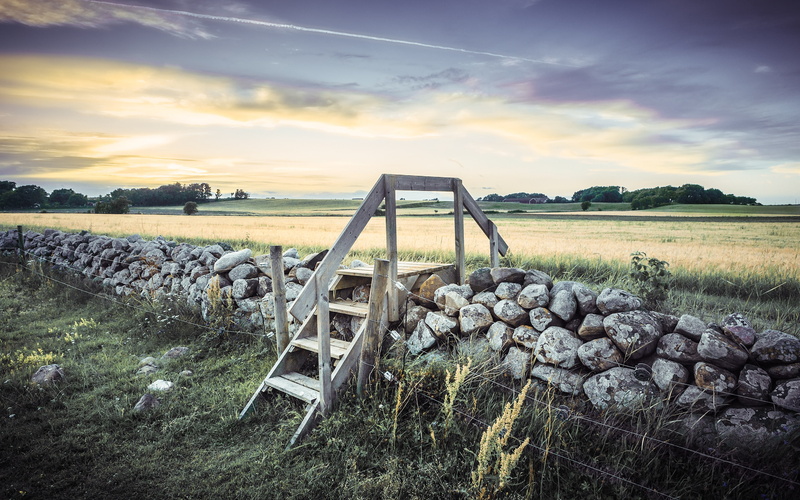 stairway, serenity, meadows, landscape, 2K