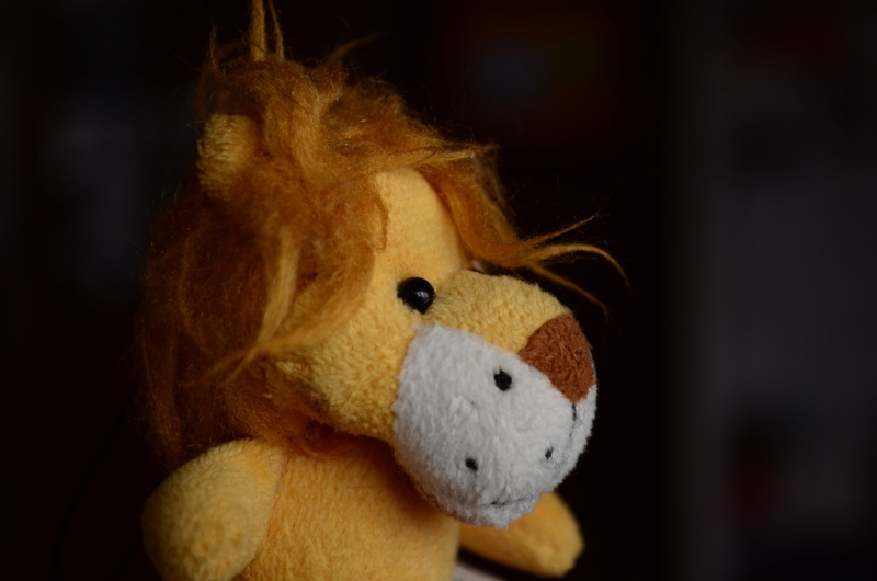 childhood, disheveled, yellow, bear, gift, softness, funny pictures, brown, lion, sympathetic, 4K, black background, plus, teddy Bear, creativity, toy