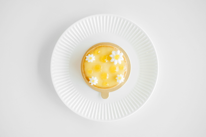 sweet food, flat, cake, temptation, food, egg yolk, plate, indoors, breakfast, egg, fried egg, white background, custard, no people, ready-to-eat, fried