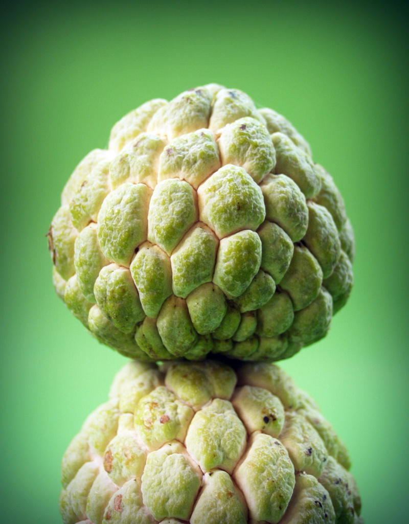 growing, focus on foreground, Thailand, freshness, plump, tempting, Tree, no people, fruit, healthy eating, wellbeing, exotic, agriculture, sugar apple